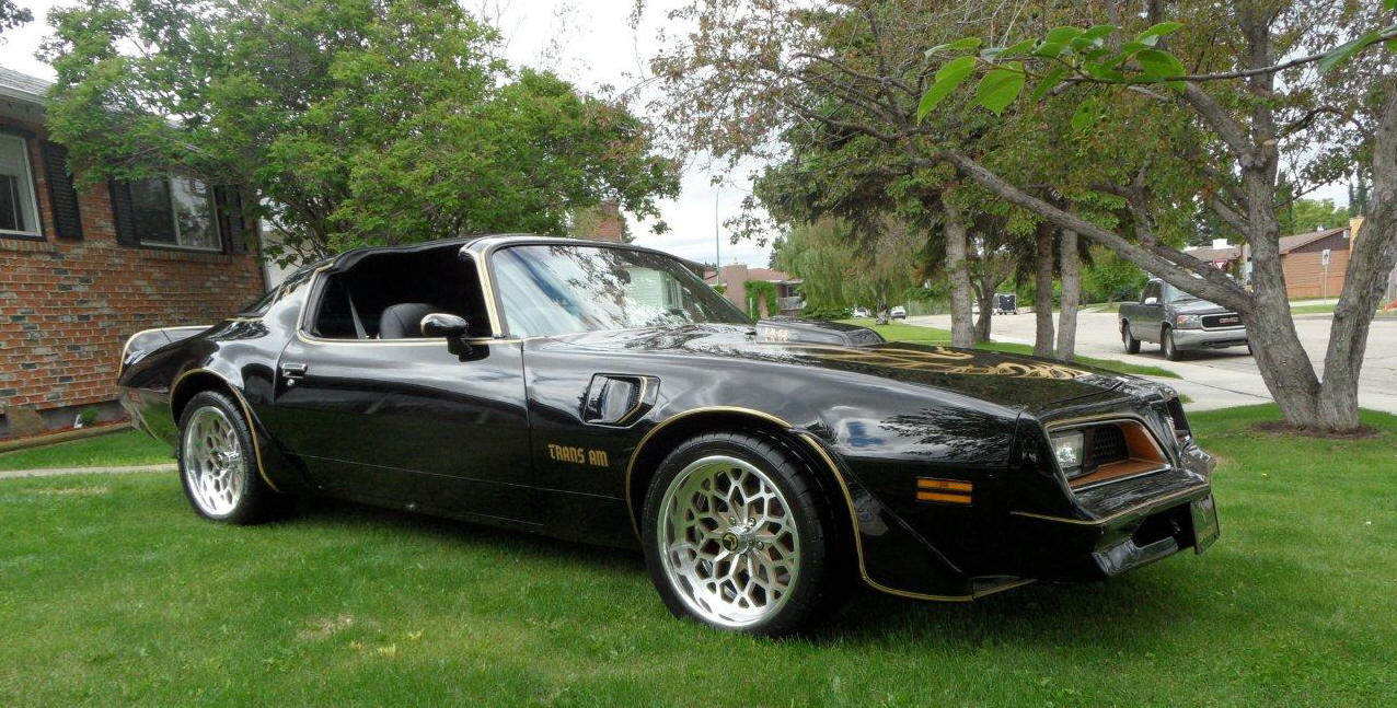 TRANS AM SPECIALTIES OF FLORIDA Trans am specialties of florida